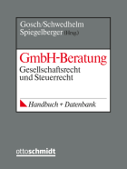 GmbH-Beratung