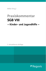 Abbildung: Praxiskommentar SGB VIII