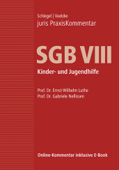 Abbildung: juris PraxisKommentar SGB VIII - Kinder- und Jugendhilfe